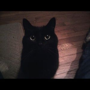 Meet your Posher, Jill